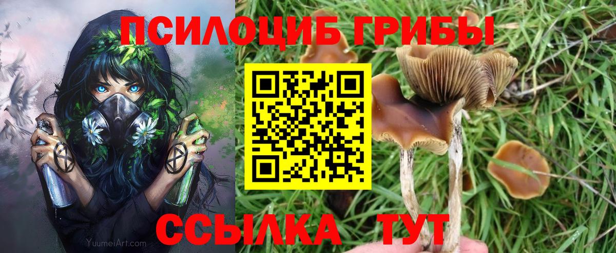 Псилоцибиновые грибы Psilocybine cubensis  Псилоцибиновые грибы мухоморы  Ейск  как найти   Вход с VPN 
