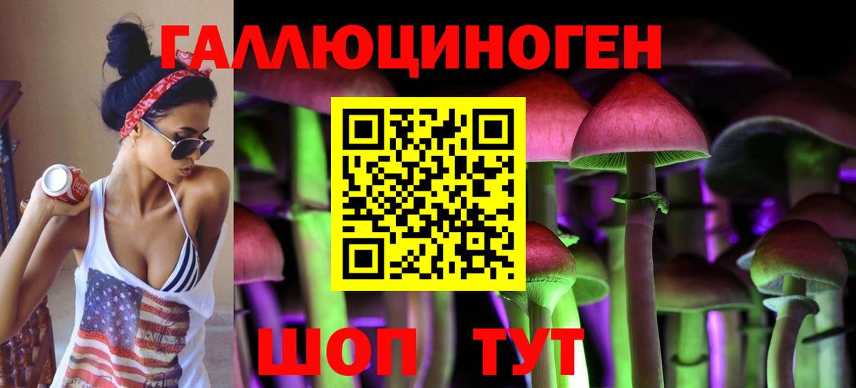Псилоцибиновые грибы Cubensis Ейск
